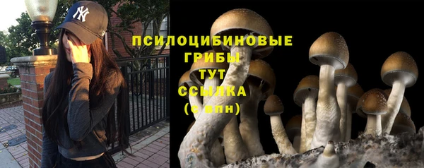 твердый Алексеевка