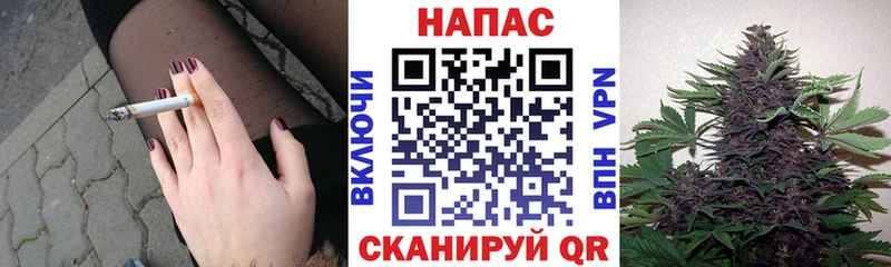 Бошки Шишки тримм  Вологда 